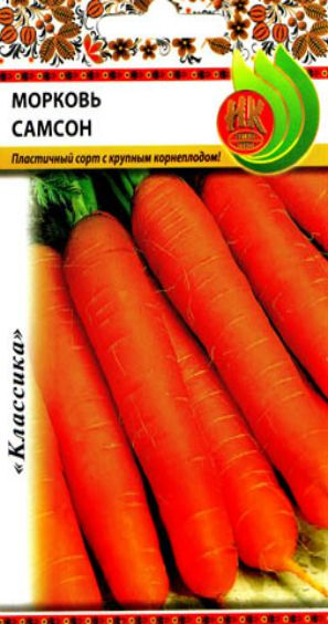 семена морковь