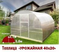 Теплица Урожайная-40х20 3х8х2,1м комплектация Премиум - интернет-магазин «Формика» 