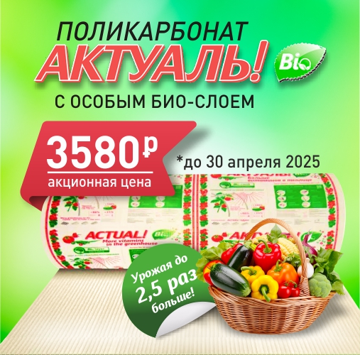 АКЦИЯ на поликарбонат Актуаль Bio АКЦИЯ на поликарбонат Актуаль Bio