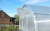 Teplica_ocinkovannaya_Alekseevna_Usilennaya3 Teplica_ocinkovannaya_Alekseevna_Usilennaya3