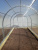 Teplica_ocinkovannaya_Alekseevna_Usilennaya2 Teplica_ocinkovannaya_Alekseevna_Usilennaya2