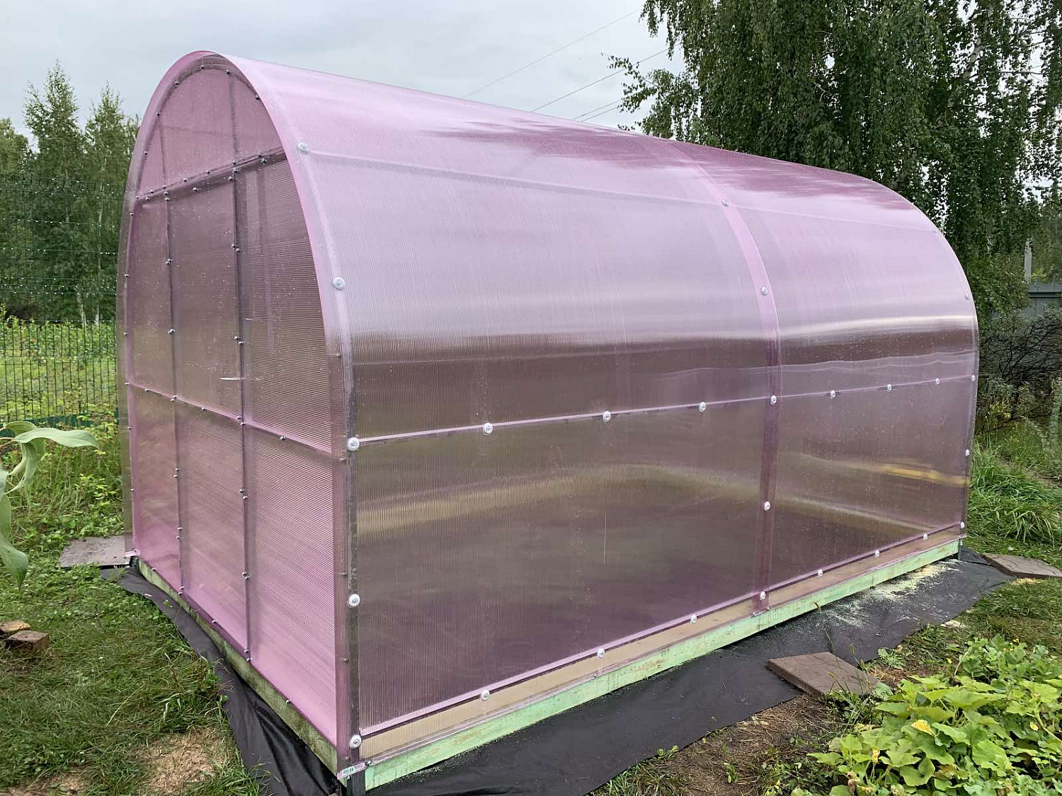 Новинка! Sellex Botanica - розовый поликарбонат для теплиц