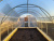 Teplica_ocinkovannaya_Novaya_Cink2 Teplica_ocinkovannaya_Novaya_Cink2
