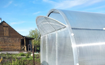 Teplica_ocinkovannaya_Alekseevna_Usilennaya3