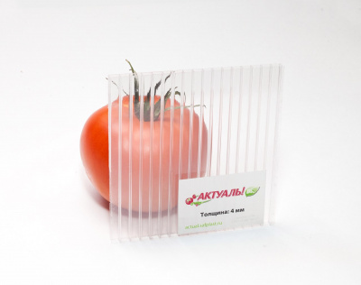 Sotovyj_polikarbonat_prozrachnyj_ActualBio3