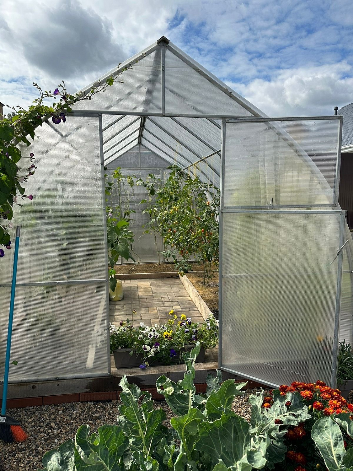 «Урожай с Формикой»