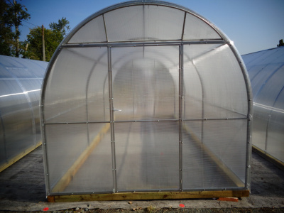 Teplica_ocinkovannaya_Alekseevna_Usilennaya_pered